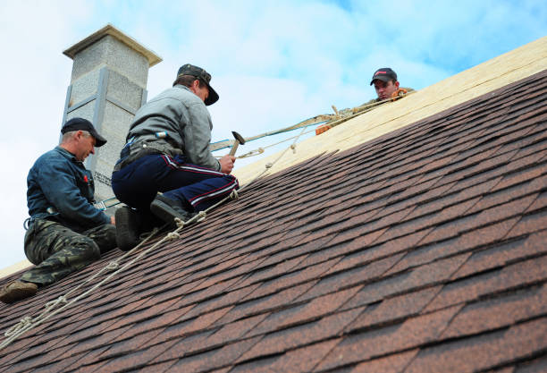 Best Affordable Roofing Company  in Lake Wilderness, VA